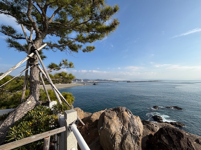 久しぶりの旅、高知へ