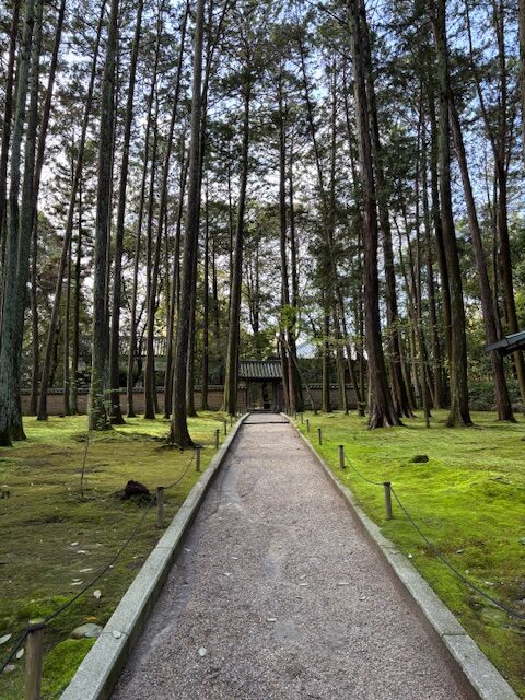 唐招提寺4