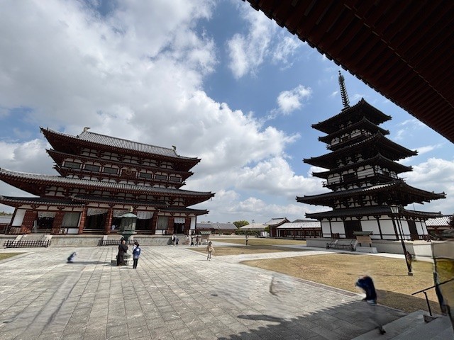 薬師寺6