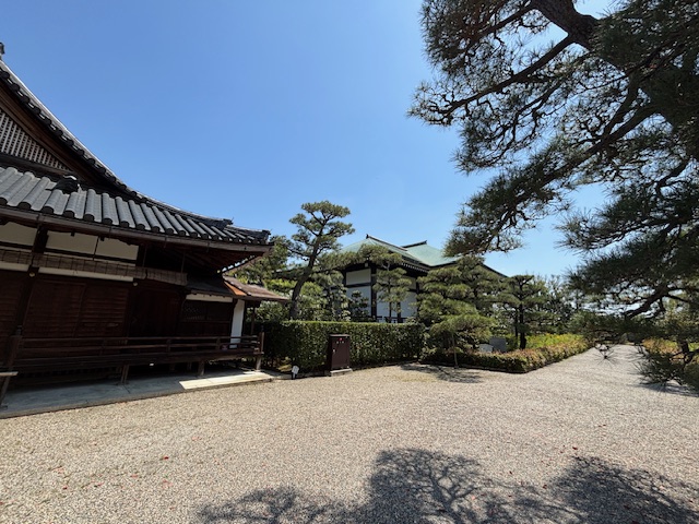 法隆寺12