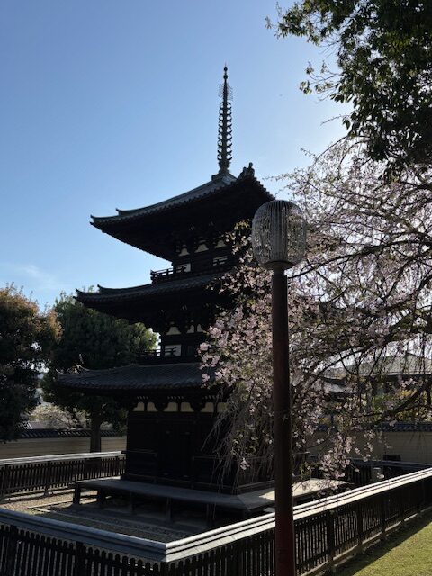 興福寺3