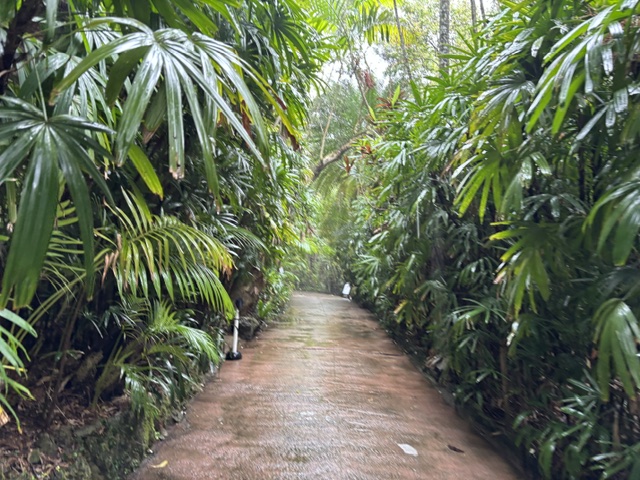 東南植物楽園7