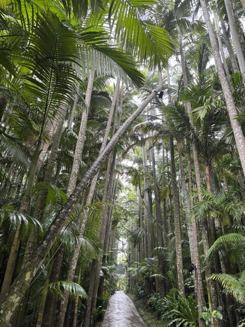 東南植物楽園4
