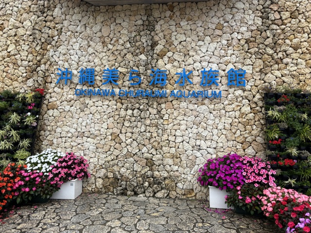 美ら海水族館1