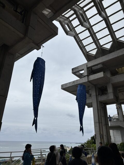 美ら海水族館2